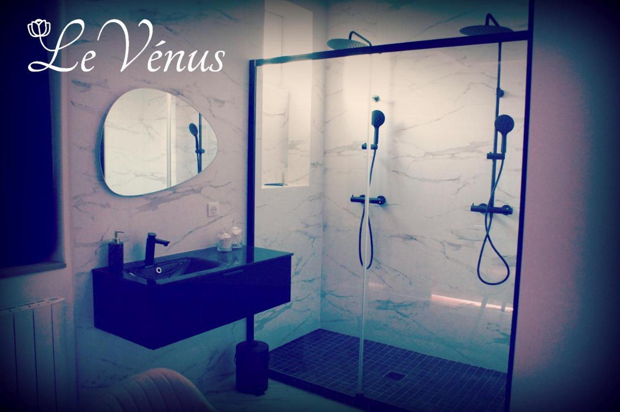Le Venus - Appartement Spa Privatif Balneo Sauna Дижон Экстерьер фото