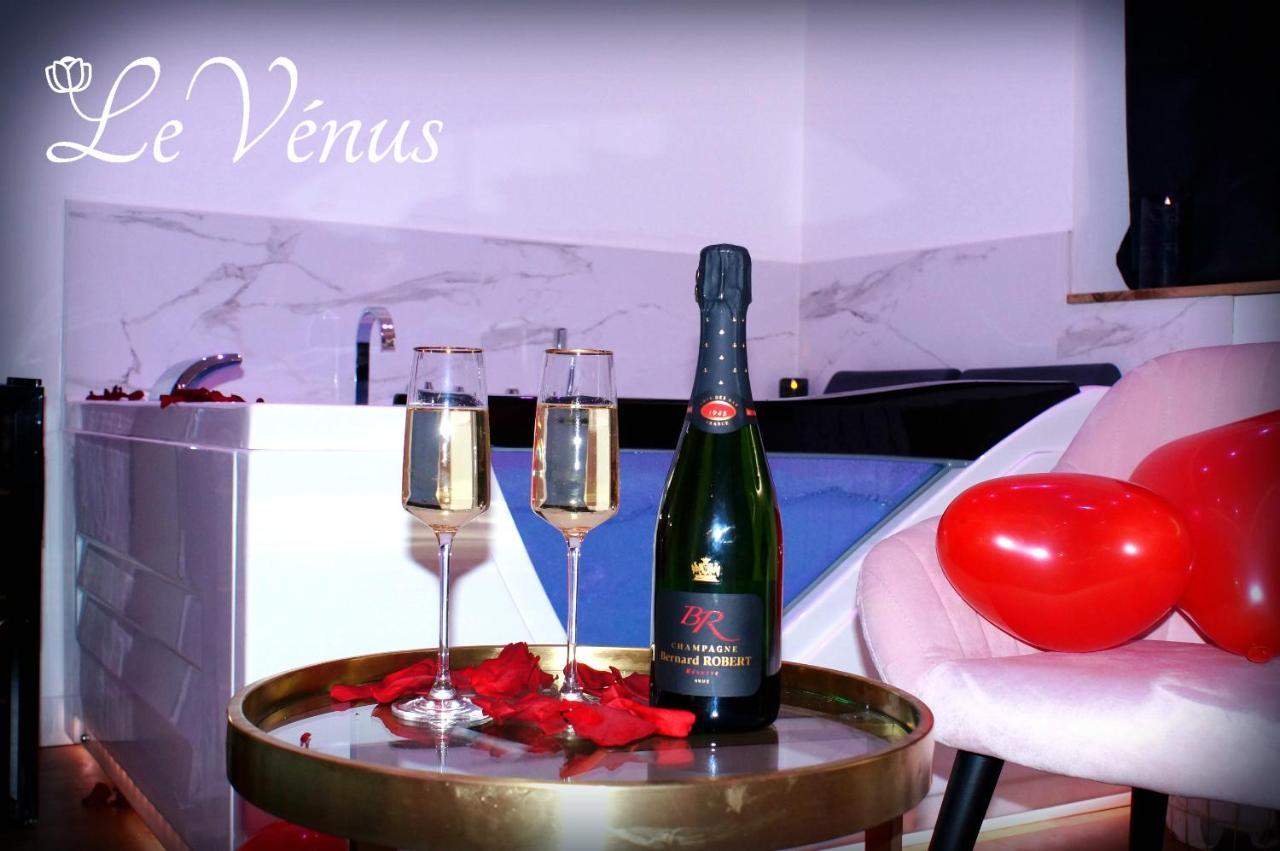 Le Venus - Appartement Spa Privatif Balneo Sauna Дижон Экстерьер фото